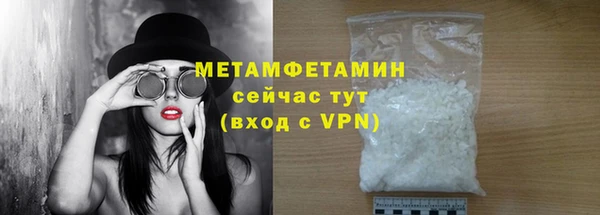 трава Корсаков