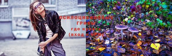 трава Корсаков