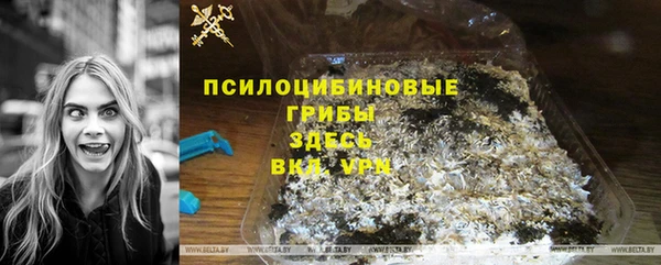 трава Корсаков