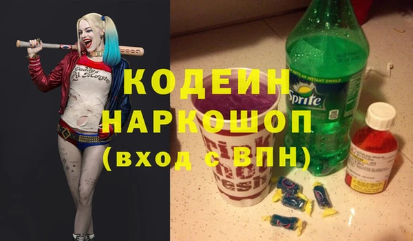трава Корсаков