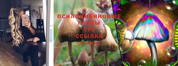 соль ск Костерёво