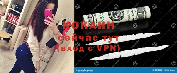 трава Корсаков