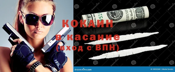 трава Корсаков