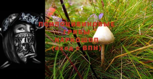 метадон Коряжма